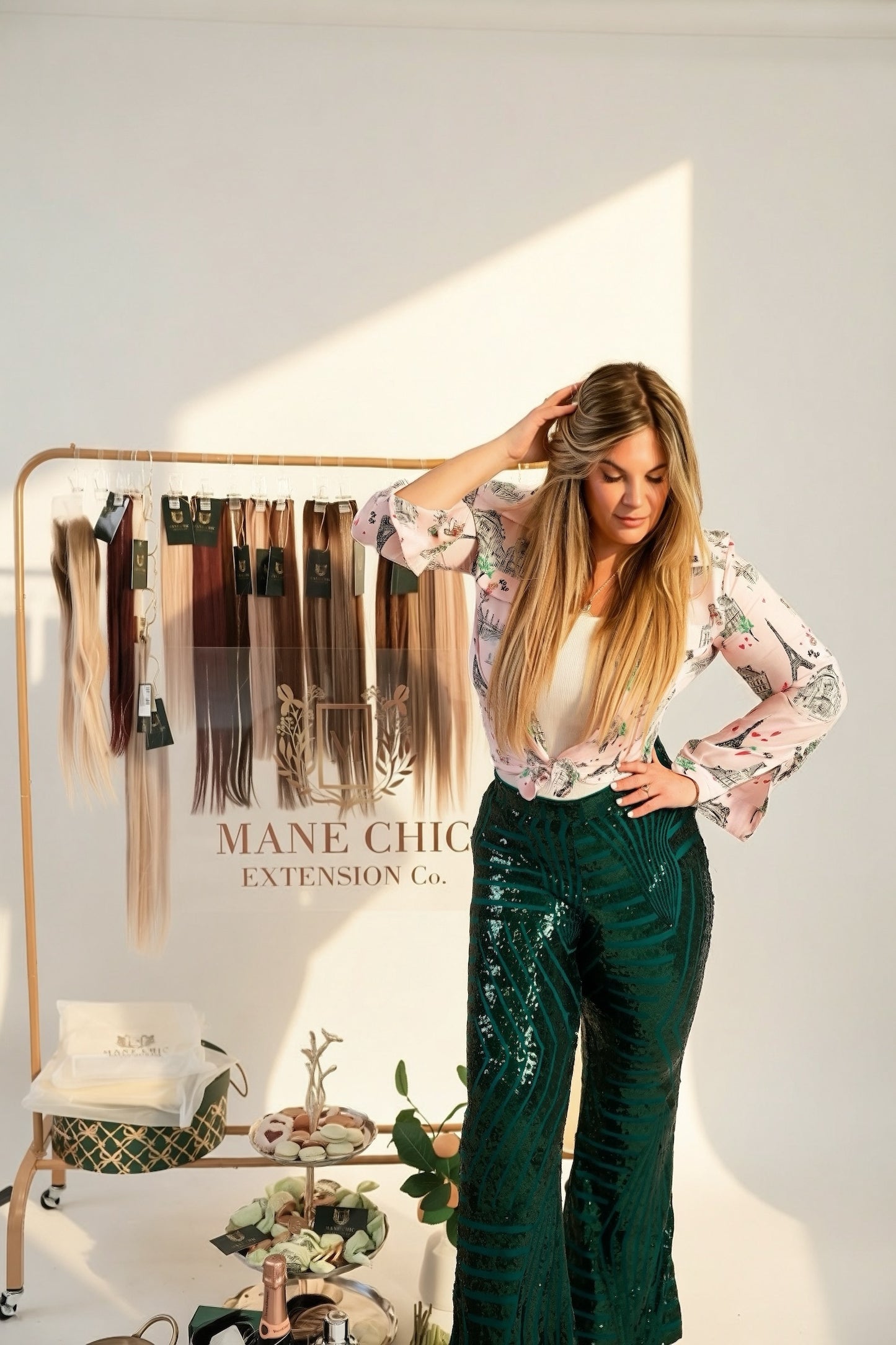 Mane Chic University Mesh/Meshless education